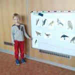 phoca_thumb_m_co dlaj veverky 15 Fotogalerie